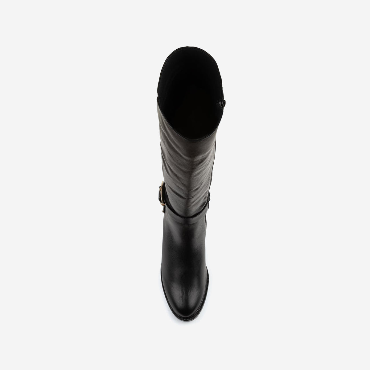 Olivia · Negro